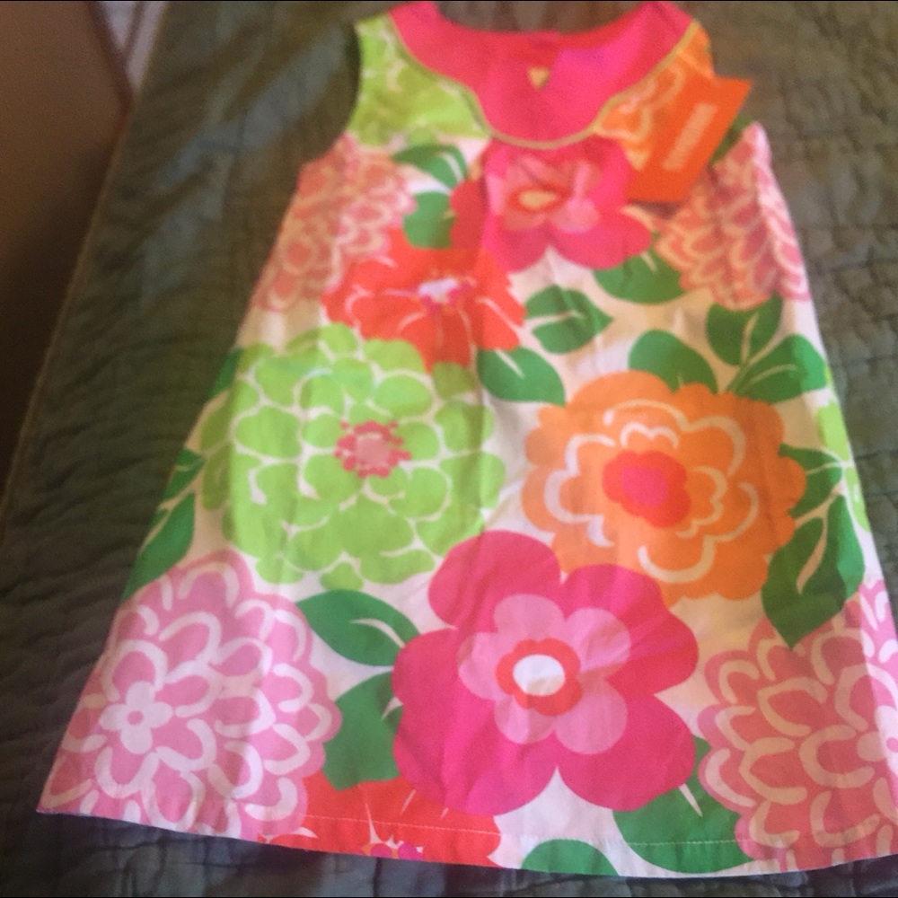 Beautiful Gymboree 3T dress